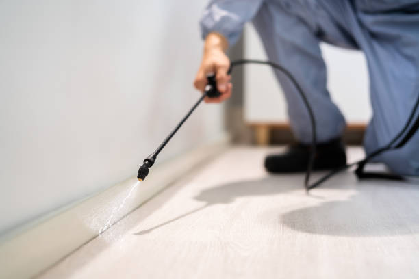 Licensed Pest Control service in Beverly, OH - Show Me Pest Control