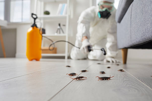 Commercial Rodent Management in Beverly